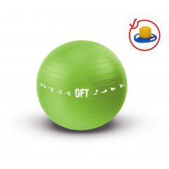 Original FitTools 65 см. с насосом зеленый FT-GBPRO-65GN из каталога фитболов  в Перми по цене 1690 ₽