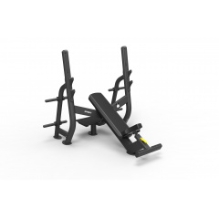 Spirit SP-4210 с отрицательным наклоном из каталога скамей со стойкой в Перми по цене 221600 ₽