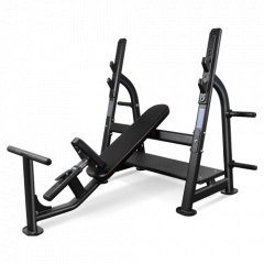 Bronze Gym BR-1014 наклонная из каталога скамей со стойкой в Перми по цене 120990 ₽