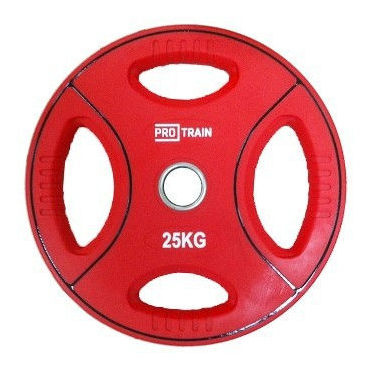 DB6092-25 (д=50 мм) в Перми по цене 13300 ₽ в категории диски (блины) для штанг и гантелей Protrain