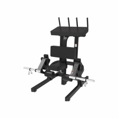 UltraGym UG-714 из каталога тренажеров на свободных весах в Перми по цене 127080 ₽