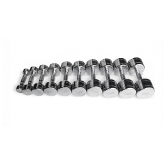 UltraGym хромированных ряд от 1 до 10 кг  UG1025 из каталога гантельных рядов в Перми по цене 73530 ₽