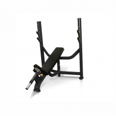 UltraGym UG-CL105 наклонная из каталога силовых скамей в Перми по цене 113220 ₽