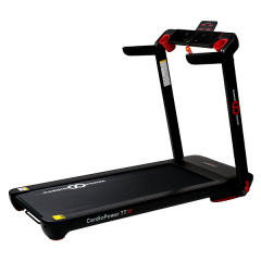 TT35 в Перми по цене 60690 ₽ в категории беговые дорожки CardioPower