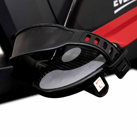 Рендер-8 для Everyfit BX7P