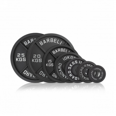 Рендер-0 для VictoryFit обрезиненный 2,5 кг. VF-S250250