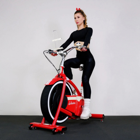 Рендер-14 для Schwinn Classic Cruiser