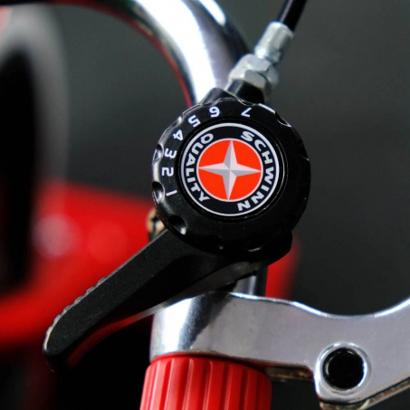 Рендер-6 для Schwinn Classic Cruiser