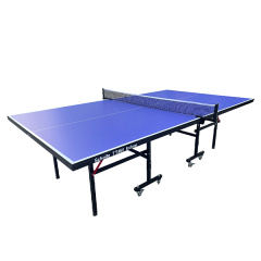 Теннисный стол для помещений Scholle TT450 Indoor в Перми по цене 28490 ₽