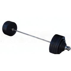 ProfyGym ШП-004 рекордная олимпийская 282.5 в наборе из каталога штанг в Перми по цене 158605 ₽