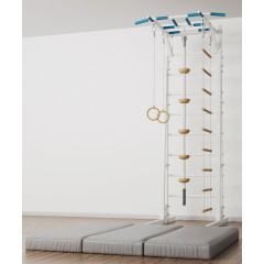 BarFits New Age RJ Premium line из каталога металлических шведских стенок в Перми по цене 51900 ₽