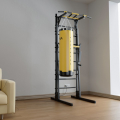BarFits New Age GR2 Premium line из каталога металлических шведских стенок в Перми по цене 59690 ₽