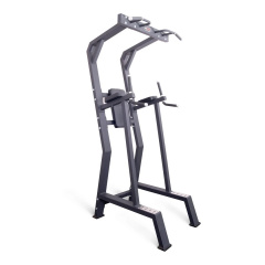Protrain HC5019 из каталога стоек турник брусья-пресс в Перми по цене 94520 ₽