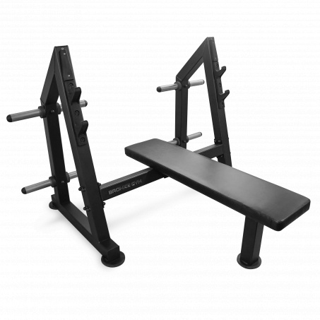 Рендер-0 для Bronze Gym Partner ML-904