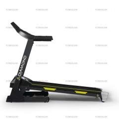 Radio 60 Pro в Перми по цене 57390 ₽ в категории беговые дорожки Diamond Fitness