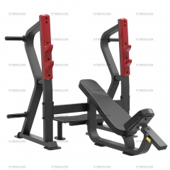 AeroFit Sterling SL7029 - со стойками из каталога скамей со стойкой в Перми по цене 193380 ₽