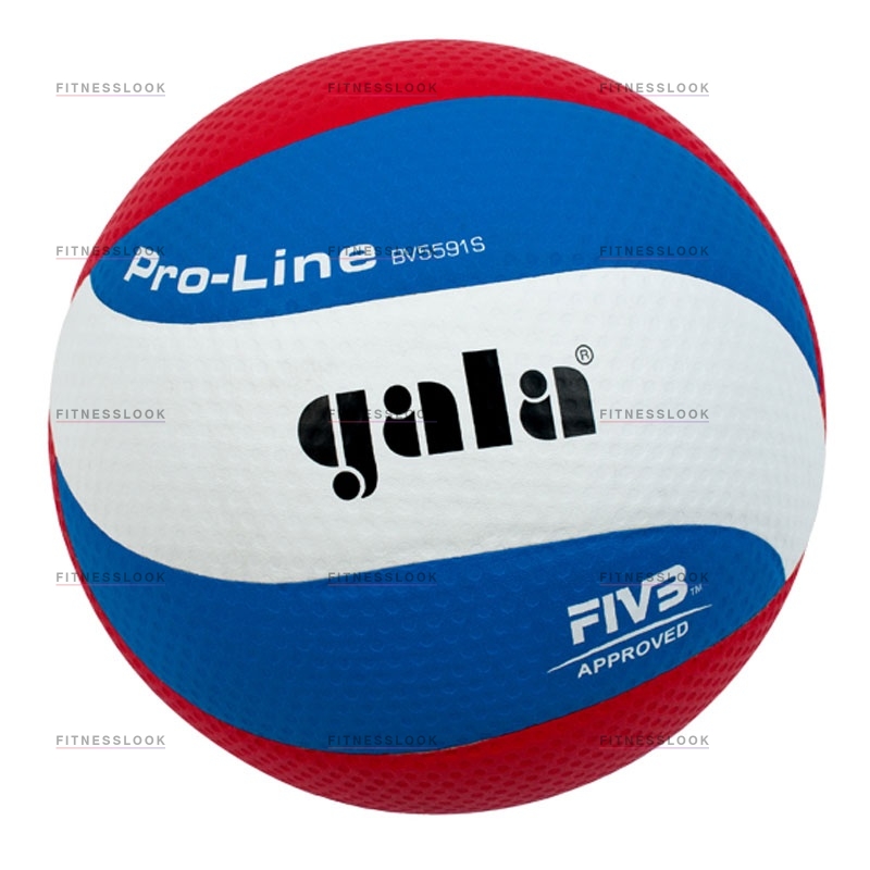 Pro-line в Перми по цене 3030 ₽ в категории баскетбольные мячи Gala