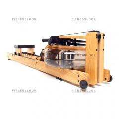 Natural в Перми по цене 223150 ₽ в категории гребные тренажеры Waterrower