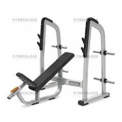 Precor DBR410 - со стойками из каталога скамей со стойкой в Перми по цене 138130 ₽