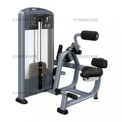 Precor DSL313 - разгибание спины из каталога грузоблочных тренажеров в Перми по цене 444810 ₽