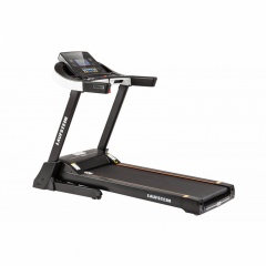 Prisma в Перми по цене 73990 ₽ в категории беговые дорожки Laufstein