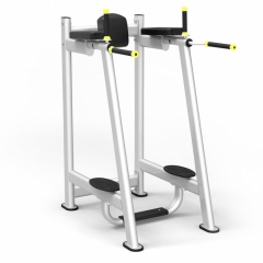 Protrain 61A45 из каталога стоек турник брусья-пресс в Перми по цене 66220 ₽