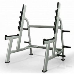 Protrain V8-108 из каталога стоек для штанги в Перми по цене 94780 ₽
