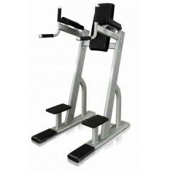 Protrain V8-301 из каталога стоек турник брусья-пресс в Перми по цене 101750 ₽